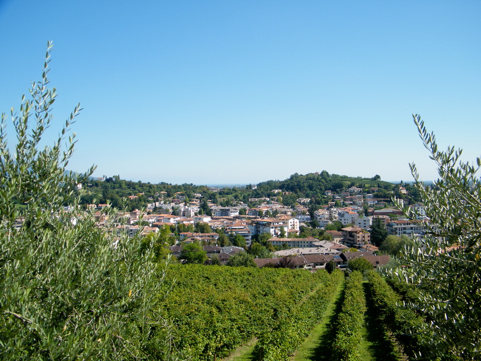 conegliano-venetoitaly-economia2